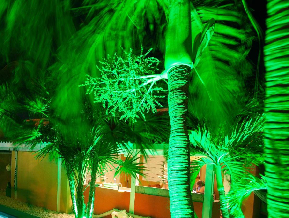 Barefoot Bonaire Apartment Kralendijk  Ngoại thất bức ảnh